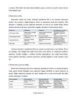 Отчёт по практике 'Digitālā mārketinga un e-komercijas procesu analīze uzņēmumā', 12.