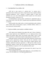 Отчёт по практике 'Prakse SIA "Consilium Optima Brokers"', 5.