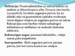 Презентация 'ES aizsargājamie biotopi Latvijā - purvi', 12.