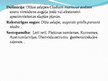 Презентация 'ES aizsargājamie biotopi Latvijā - purvi', 18.