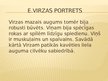 Презентация 'Edvarts Virza', 2.