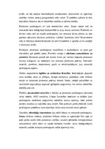 Эссе 'Plastmasas piesārņojums un tā ietekme uz okeāniem: vides problēma un risinājumi', 2.