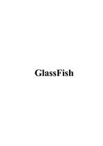 Образец документа 'GlassFish', 1.