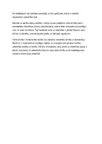 Эссе 'Vārda brīvība un tās robežas', 2.