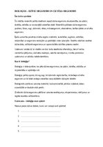 Образец документа 'Bioloģija – dzīvie organismi un cilvēka organisms', 1.