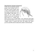 Реферат 'Vēži jeb vēžveidīgo (Crustacea) klase', 8.