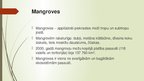 Презентация 'Mangroves', 2.