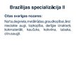 Презентация 'Brazīlijas Federatīvās Republikas starptautiskā tirdzniecība un dalība starptaut', 19.