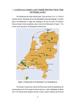 Реферат 'The Protection of National Parks in the Netherlands and Latvia', 4.