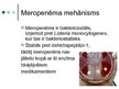 Презентация 'Antibiotika - meropenēms', 5.