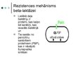 Презентация 'Antibiotika - meropenēms', 6.