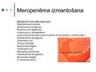 Презентация 'Antibiotika - meropenēms', 8.