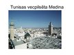 Конспект 'Ziemeļāfrikas reģions. Tunisija', 13.