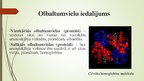 Презентация 'Olbaltumvielas', 3.