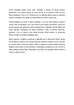 Эссе 'Romas mīts un izcelsmes problēma', 2.