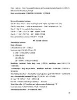 Реферат 'Kuģa „Lancelot” izmaksu aprēķins', 30.