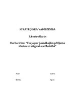 Эссе 'Eseja par jaunākajām pētījuma tēmām stratēģiskā vadībzinībā', 1.