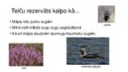 Презентация 'Teiču dabas rezervāts', 5.