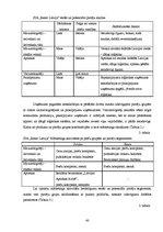 Дипломная 'Uzņēmuma SIA "Ream Latvija" darbības analīze un attīstības iespējas', 40.