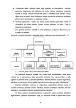 Дипломная 'Uzņēmuma SIA "Ream Latvija" darbības analīze un attīstības iespējas', 45.