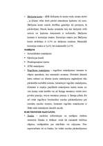 Реферат 'A/s "SEB Unibanka” darbības raksturojums un pakalpojumu analīze', 12.