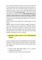 Конспект 'Kultūras semiotika. Eksāmena jautājumi.', 3.