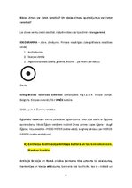 Конспект 'Kultūras semiotika. Eksāmena jautājumi.', 8.