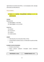 Конспект 'Kultūras semiotika. Eksāmena jautājumi.', 21.