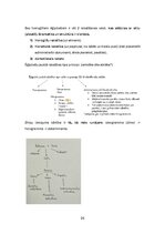 Конспект 'Kultūras semiotika. Eksāmena jautājumi.', 26.