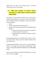 Конспект 'Kultūras semiotika. Eksāmena jautājumi.', 32.