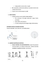 Конспект 'Kultūras semiotika. Eksāmena jautājumi.', 53.