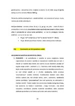 Конспект 'Kultūras semiotika. Eksāmena jautājumi.', 66.