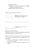 Конспект 'Kultūras semiotika. Eksāmena jautājumi.', 73.