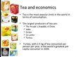 Презентация 'Lipton Tea', 4.