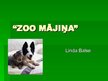 Бизнес план 'Biznesa plāns "Zoo Mājiņa"', 25.
