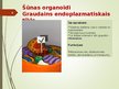 Презентация 'Šūnas organoīdi', 4.