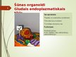 Презентация 'Šūnas organoīdi', 5.