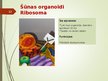 Презентация 'Šūnas organoīdi', 12.