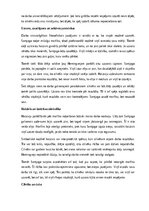 Конспект 'Ernests Hemingvejs “Sirmgalvis un jūra”', 5.