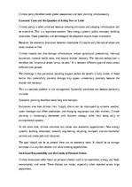 Эссе 'Climate change and our future', 8.