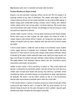 Эссе 'Climate change and our future', 11.