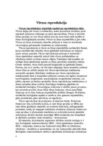 Реферат 'Vīrusu klasifikācija un nomenklatūra', 8.