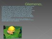 Презентация 'Gliemenes', 6.