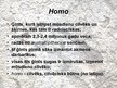 Презентация 'Homo habilis, Homo erectus', 2.