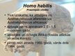 Презентация 'Homo habilis, Homo erectus', 3.
