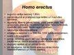 Презентация 'Homo habilis, Homo erectus', 7.