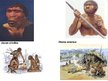 Презентация 'Homo habilis, Homo erectus', 8.