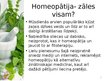 Презентация 'Homeopātijas vieta farmācijā', 2.