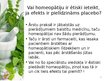 Презентация 'Homeopātijas vieta farmācijā', 9.