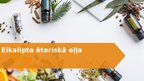 Презентация 'Eikaliptu ēteriska eļla', 1.